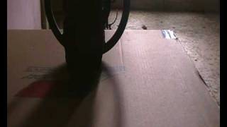 Minelab x-terra 50