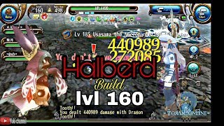 Toram Online - Halberd Build lvl 160 | Dragon Tooth + Gsw | With Ns equip