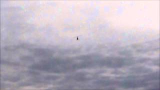 Simplizissimus 4ter Flug