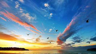 DEMIS ROUSSOS - FROM SOUVENIRS TO SOUVENIRS