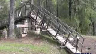 Camino Reigolil - Curarrehue