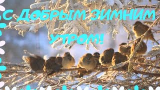С ДОБРЫМ УТРОМ! ЧУДЕСНОГО ЗИМНЕГО ДНЯ! ❄️Супер красивое пожелание ?