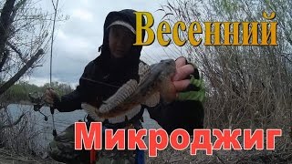 микроджиг