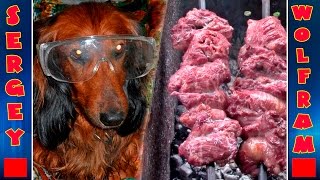 Шашлык В Чае С Сахаром(Shashlik in tea with sugar)