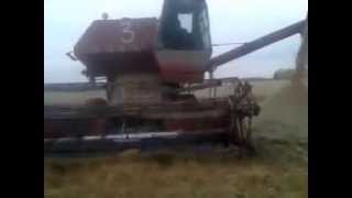 Разгрузка комбайнов на поле Шатрово 2014 год. Unloading harvesters