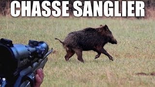 Chasse en Battue au Sanglier - Nombreux tirs !