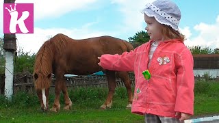 Животные для детей в деревне На ферме Animals for kids in the village on the farm