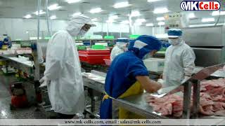 High Speed Auto Sorter Machine Checkweigher