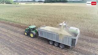 BIG CORN SILAGE  2018  Smržice Czech Republic