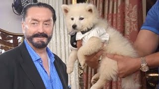 Adnan Oktar'ın şık köpeği