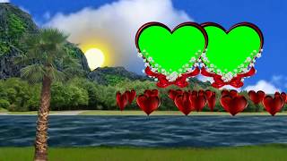 Wedding green scene effect Background Video 2019 | New Green scene effect wedding background Video