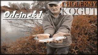 "Leszek mówi co" [Ser. II] - Odcinek 1 - Cholerny kogut, klenie, certy i jarosławska drobnica sanowa