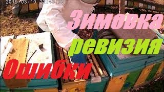 Пчёлы весной.Пасека перезимовала.Весенняя ревизия пчела семей.Двух маточное содержание.