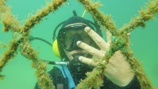 DANGEROUS STINGRAY JAIL TREASURE, Vintage Gold & Silver Rings Found Metal Detecting
