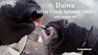 Ловля радужной форели на вращающуюся блесну. Silver Creek Spinner от Daiwa.
