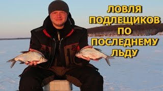 Ловля подлещика по последнему льду.