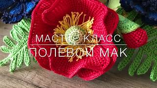 ? мастер класс ? полевой ? мак тунисское вязание Crochet flower pattern