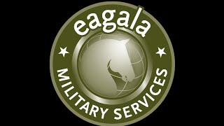 EAGALA Model Equine-Assisted Psychotherapy for the Military
