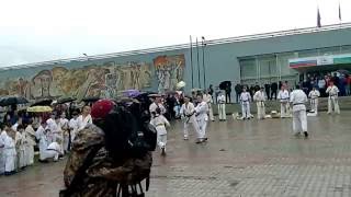 Показательное выступление  Клуба "Медведь" г. Комсомольск на Амуре на день города 12.06.2016