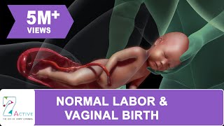AMAZING NORMAL LABOUR & VAGINAL BIRTH