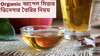 আপেল সিডার ভিনেগার তৈরির নিয়ম | How To Make Organic Apple Cider Vinegar at Home |  Easy Steps