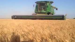 2014 West Texas Wheat Harvest