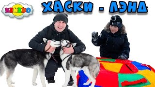 ? ВЛОГ Веселое Катание на Хаски ПАПА УПАЛ Видео для Детей В гостях у Шамана Стрельба из Лука Кикидо