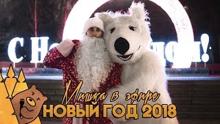 НОВЫЙ ГОД 2018 | Мишка в эфире