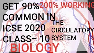 circulatory system icse class-10 biology