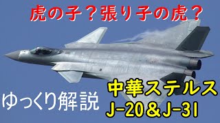 【ゆっくり解説】第三回兵器解説中国の最新鋭戦闘機、J-20とJ-31