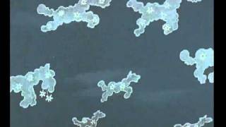 "Облака" группа "Ключи" -  "Clouds" group " Kljuchi"