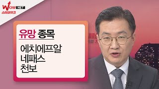[위기를 기회로] 유망 종목 - 천보/ 네패스/ 에치에프알 #2/13
