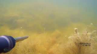 Подводная охота р.Подманок.