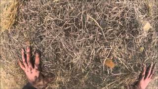 Download Spartan Beast 2012