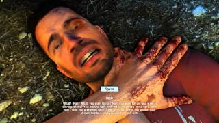 Far Cry 3 [4K] [GTX 960 2GB & Intel XEON X5492]