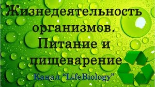 Жизнедеятельность организмов. Питание и пищеварение