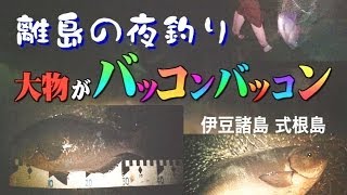 離島の夜釣り大物ズコバコ（伊豆諸島 式根島）Surf-fishing