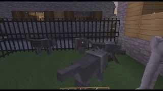 Как сделать собаку и кошку в Minecraft.
