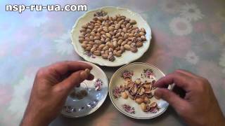 Как открыть фисташку