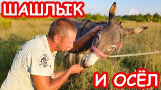 Приманки спасли рыбалку. Осёл и шашлык. Отдых на природе. Рыбалка 2019