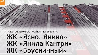 ЖК "Ясно. Янино", ЖК "Янила Кантри", ЖК "Брусничный"