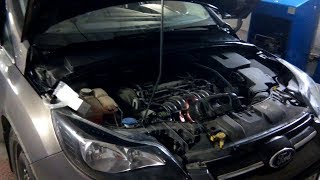 Течь масла из двигателя Форд Фокус 3, причины, устранение 2018