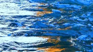 Вода в реке. Течение реки. Футажи для видеомонтажа. Футаж река