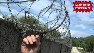 Егоза - контрафакт, колючая проволока цена за метр