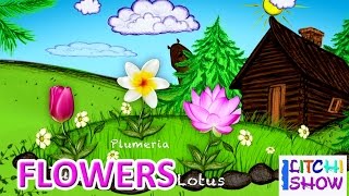 Learn English Flowers names with picture for children | flowers names for Kids in english