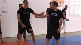 «Systema is armless» Martin Wheeler