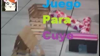 Juego Para Cuyo (Conejillo de indias)