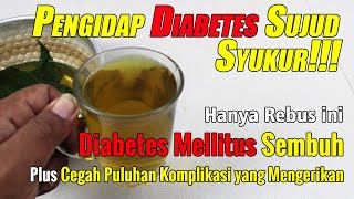 SETELAH NONTON VIDEO INI, ANDA AKAN MENCARI TANAMAN INI SAMPAI DAPAT
