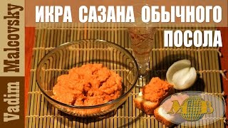 Рецепт икра сазана обычного посола. Как посолить икру сазана. Мальковский Вадим