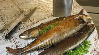 Коптильня с гидрозатвором  Коптим скумбрию